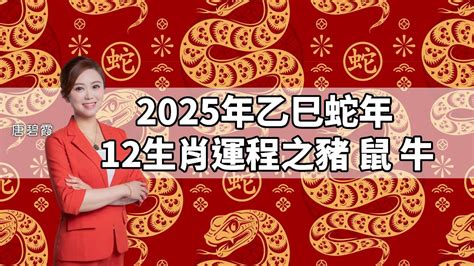 2025鼠年運程1972|2025 肖鼠流年運程 